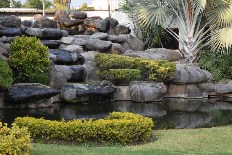 paysagiste-LA FARLEDE-min_garden-green-rock-natural-landscape-wall-grass-1613997-pxhere.com