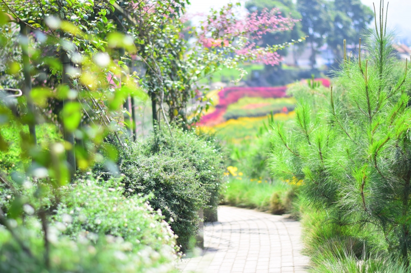 paysagiste-LA FARLEDE-min_landscape-tree-nature-forest-light-plant-1588789-pxhere.com